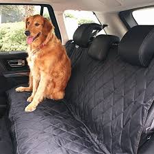 How To Get Dog Hair Out Of The Car Diy