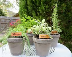 An Easy Tabletop Diy Herb Garden Decoist