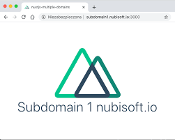 subdomains in your nuxt js project