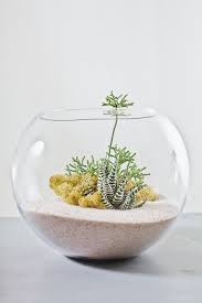 Miniature Garden In A Glass Bowl