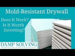 Is Mold Resistant Drywall Worth The