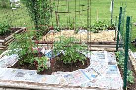 Using Newspaper To Kill Weeds The