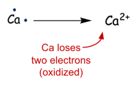 Chp 6 Chemical Reactions Flashcards