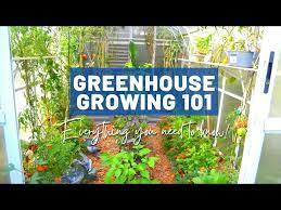 Greenhouse Growing Basics 101 For