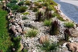 Rock Garden Designs That Will Take Your