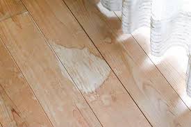 Dog Urine Soaked Into Hardwood Floors