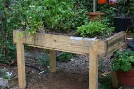 Plant Tables Raised Vegetable Gardens