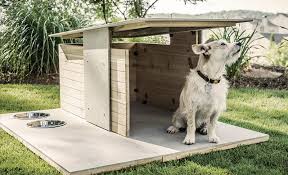 Build Your Own Dog House