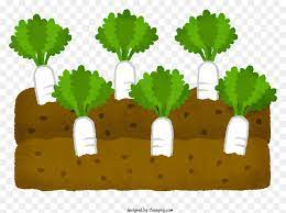 Free Transpa Small Plants Png