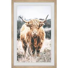 Marmont Hill Framed Animal Art Print