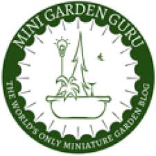 Planting Your Miniature Garden The