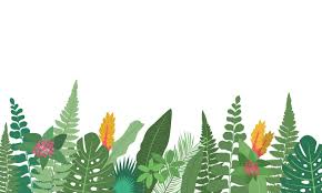 Plant Border Vector Art Icons And