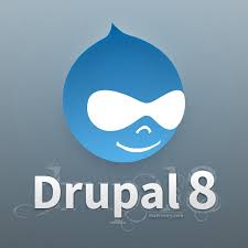 Druplicon Logo