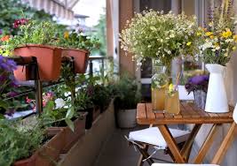 Why You Need A Balcony Garden