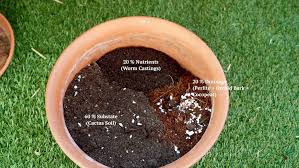 Potting Mix For Indoor Plants Well