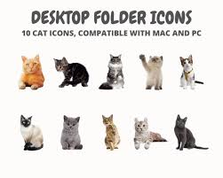 Cute Cat Desktop Folder Icon For Mac