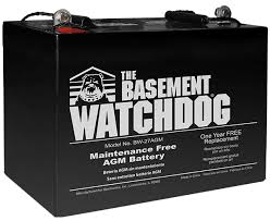 Basement Watchdog Batteries