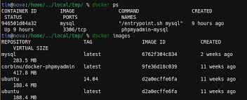 docker images and containers