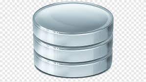 Silver Case Database Management System