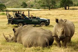 Garden Route Private 3 Day Tour With