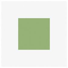 10pcs White And Green L Stick Floor
