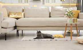 Cat Furniture Design Ideas For Your