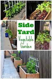Side Yard Vegetable Garden Small