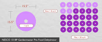 Dehydrator Review