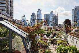 Roof Terraces In London Rooftop Bars
