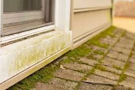 Removes Moss And Algae From Patios