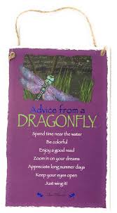 Advice From A Dragonfly Insect Novelty