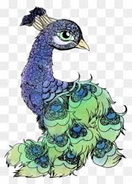 Peacock Feathers Clipart Transpa