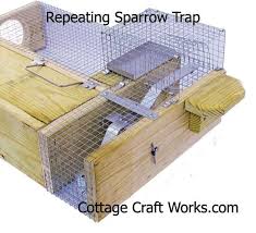 Deluxe Humane Repeating Sparrow Trap