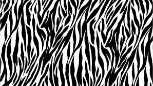 9 Zebra Patterns Psd Vector Eps