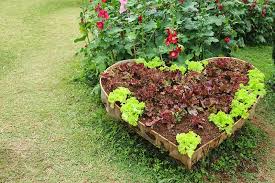 25 Incredible Vegetable Garden Ideas