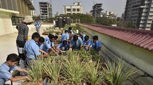 Mumbai Students Turn Terrace Into Farm