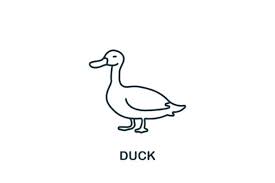 Duck Icon From Home Animals Collection