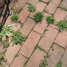 How To Keep Your Patio Weed Free And