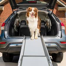 Solvit Dog Transport Travel Supplies