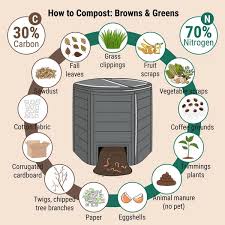 Infographic Garden Composting Bin