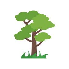 Tree Icon Vector Sign And Symbol