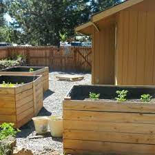Diy Cedar Raised Garden Beds