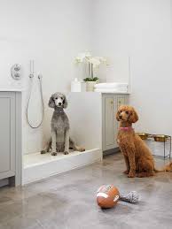 28 Dog Room Ideas You And Your Best