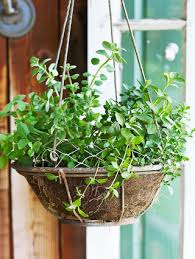 17 Herb Garden Ideas To Make Your