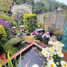 The Summer Garden The Easy Care Garden