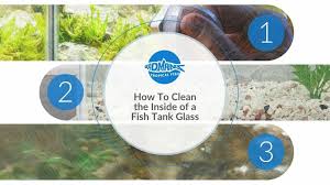 Fish Tank Glass