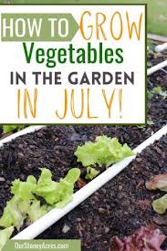 What To Plant In July Zones 3 4