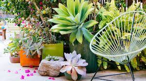 Succulent Container Designs To Win