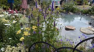 Stand Out Plants From Rhs Hampton Court