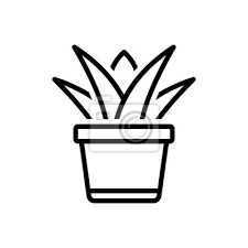 Black Line Icon For Succulent Plant